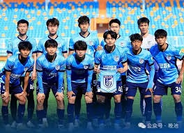 深入分析法国足球甲级联赛的竞争与魅力